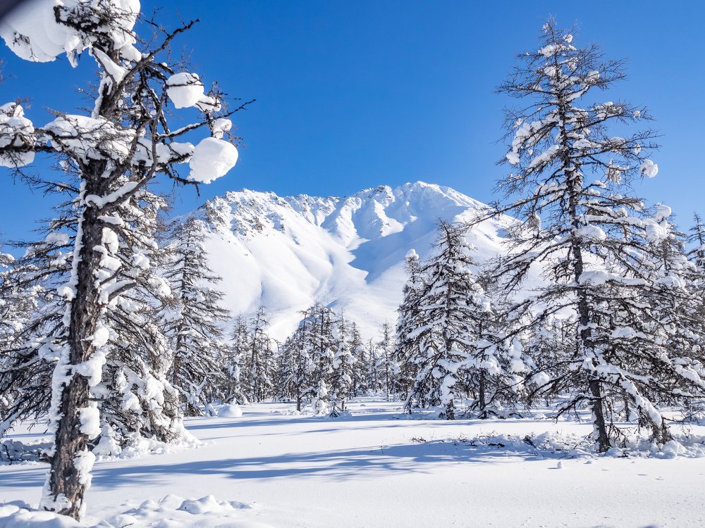 Photograph by Игорь Антипин