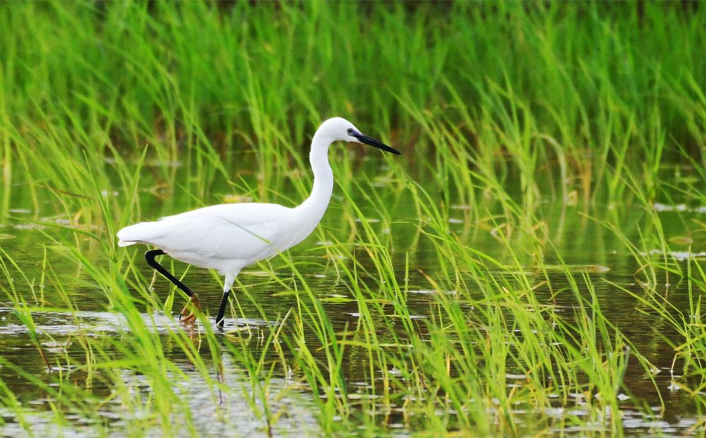 Photograph by Preet saluja