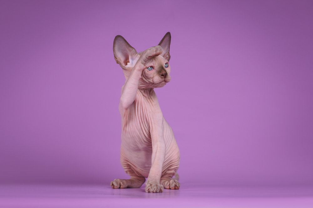 Photograph by Елена Соловьева