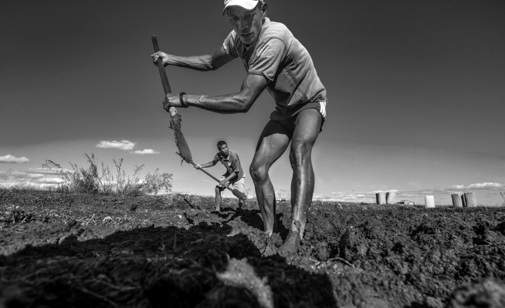 Photograph by Alexander Joe