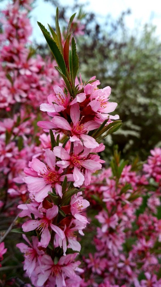 Photograph by Юлия Анисимова