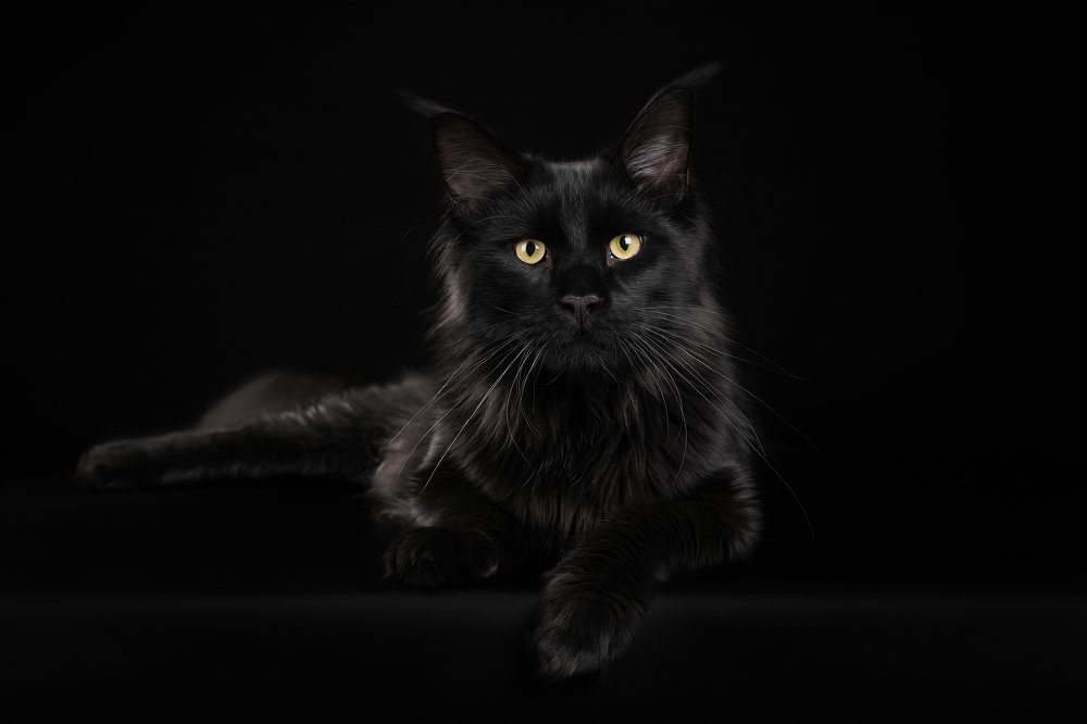 Photograph by Елена Соловьева