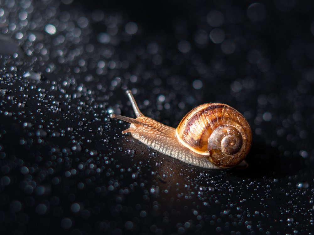 Photograph by Шихалеева 