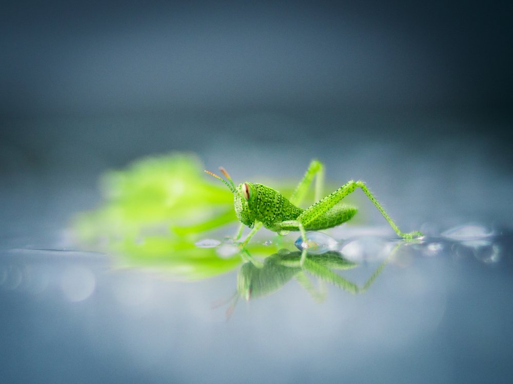 Photograph by Шихалеева 