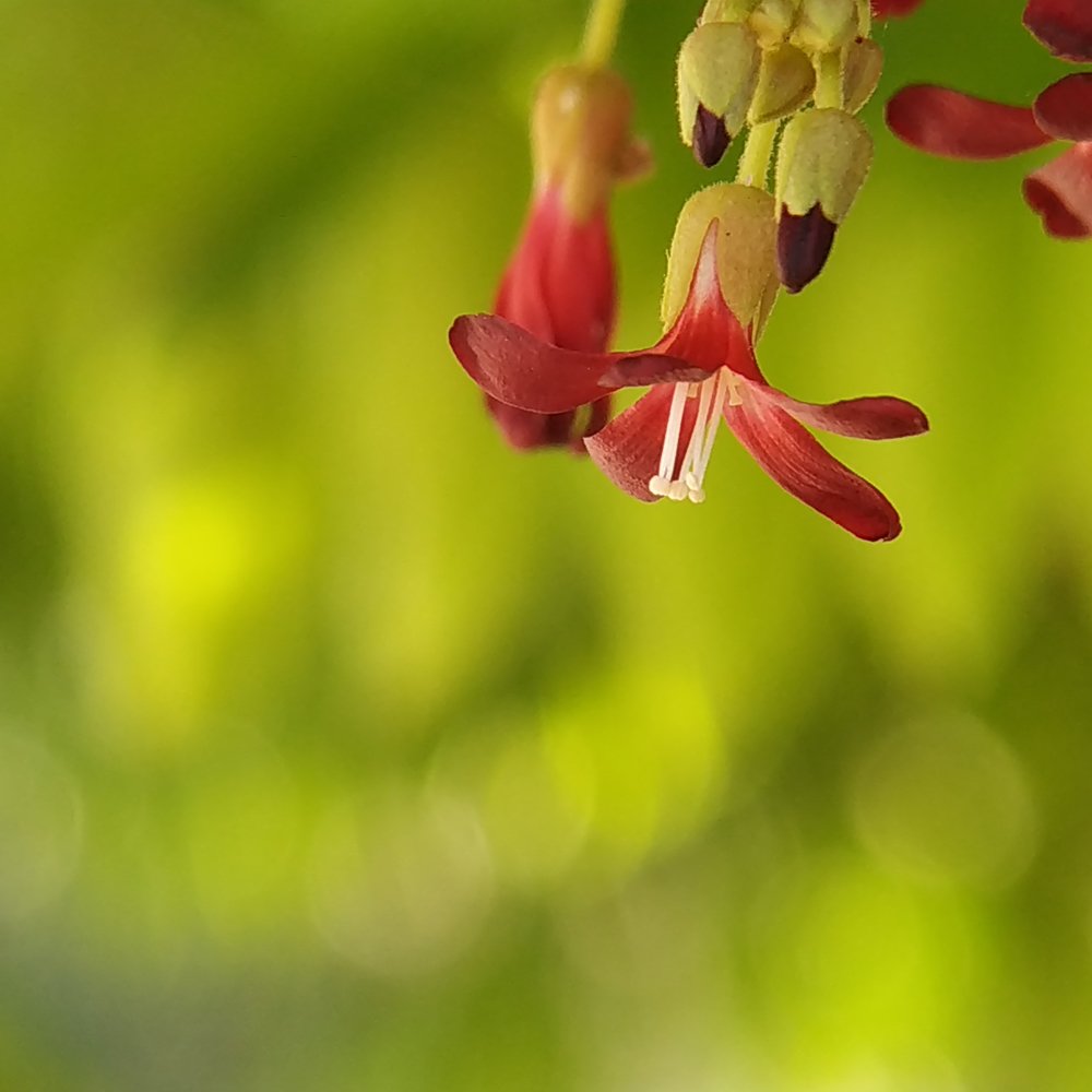 Photograph by Triaji Kristiawan