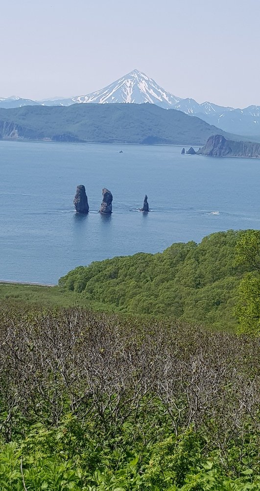 Три брата