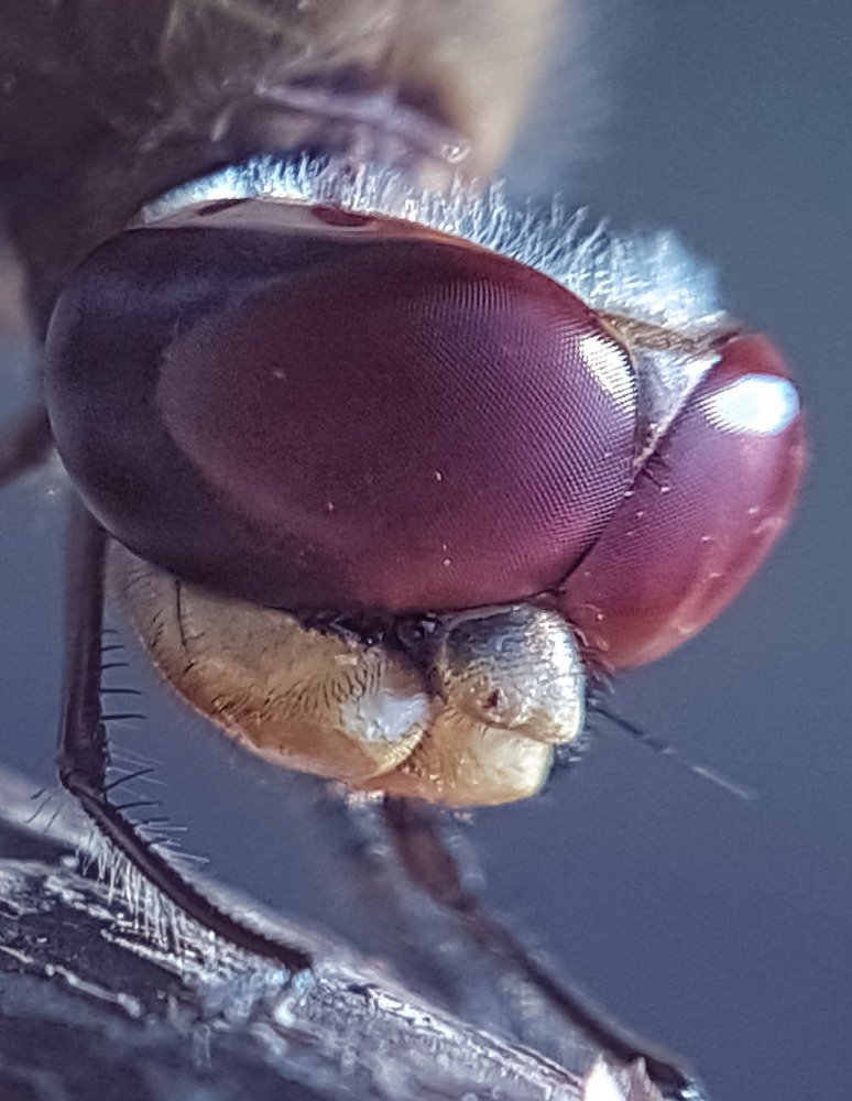 Photograph by Iin Fortunata Angelina