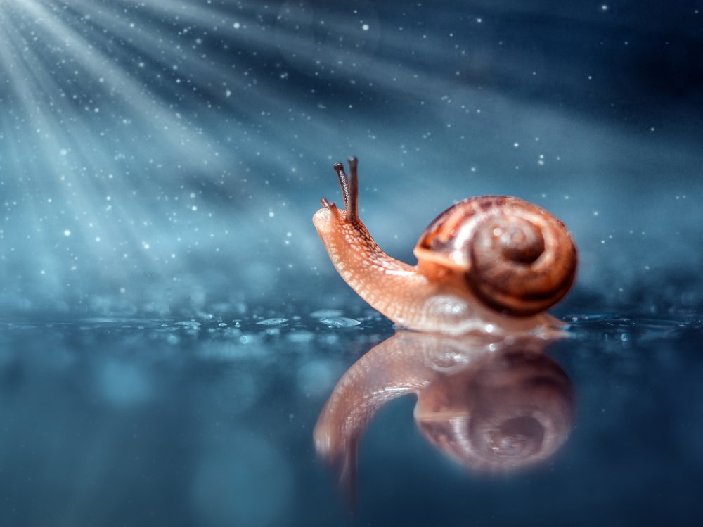 Photograph by Шихалеева 