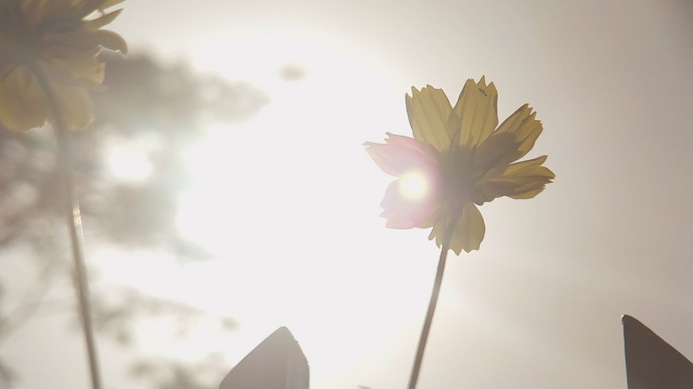 Photograph by Triaji Kristiawan