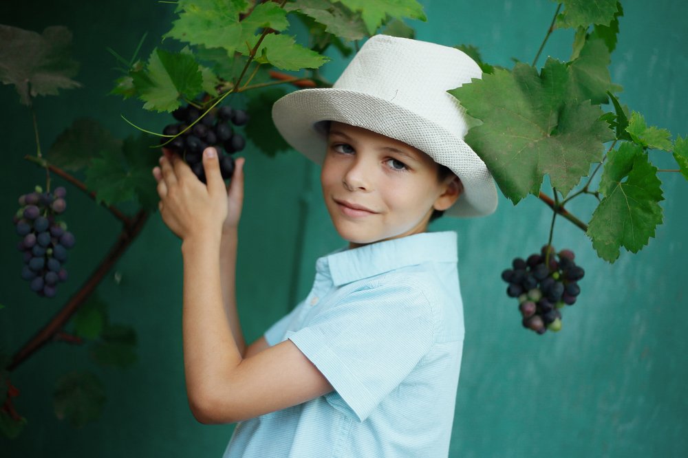 Photograph by Татьяна Резван