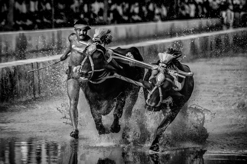 Photograph by Vivek Gowda