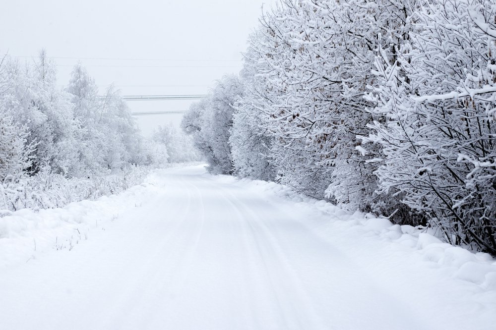 Photograph by Олег