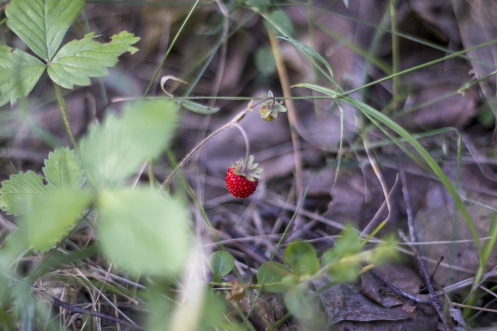 Photograph by Олег