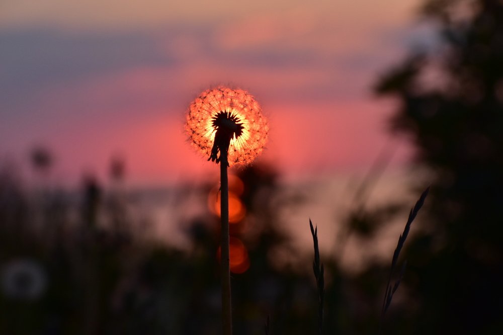 Photograph by Виктория