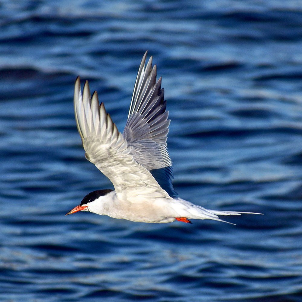 Photograph by Виктория