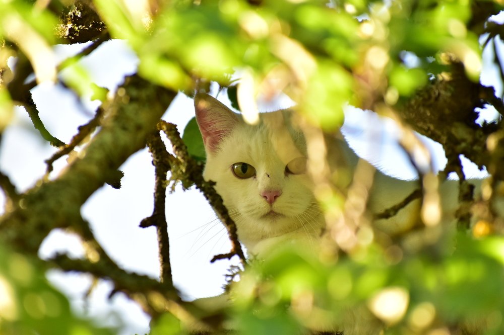 Photograph by Виктория