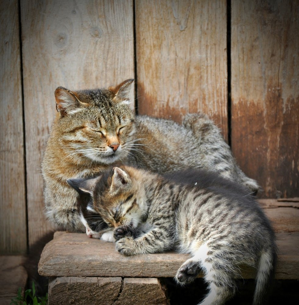 Фотография автора Камиль Хайрутдинов