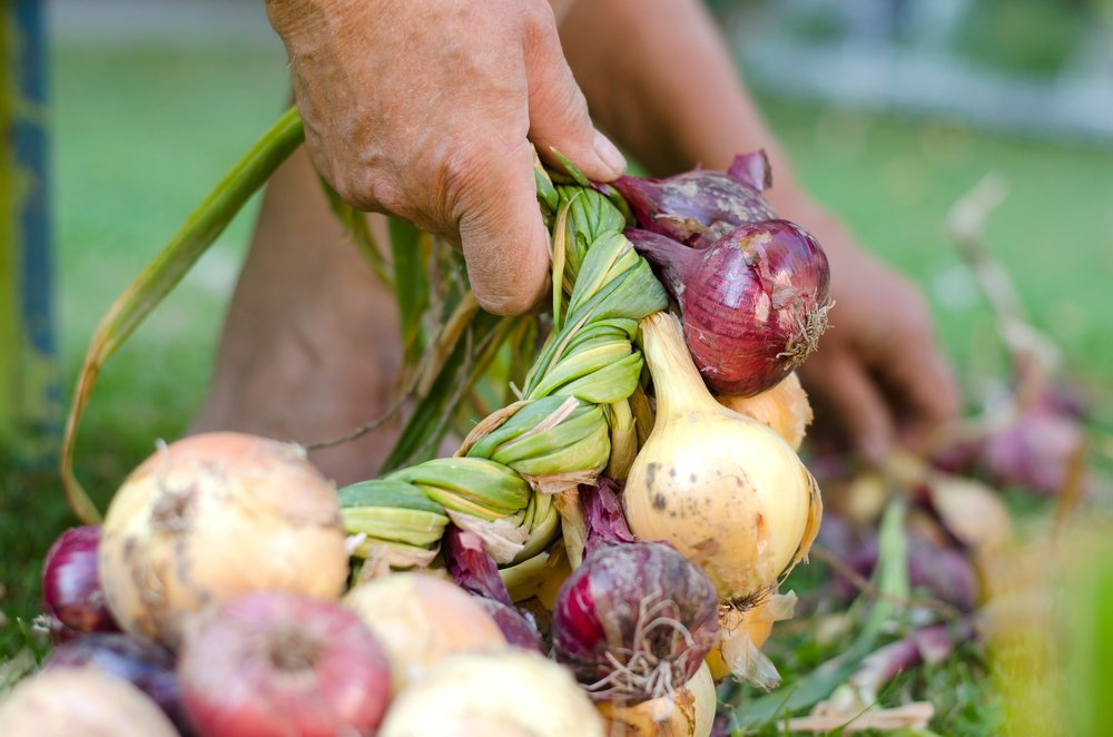 Photograph by Юлия Орлова