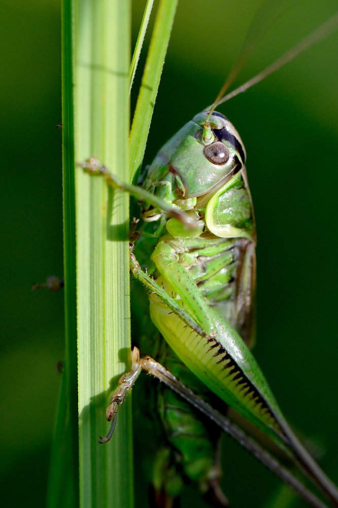 Photograph by Людмила Шалина