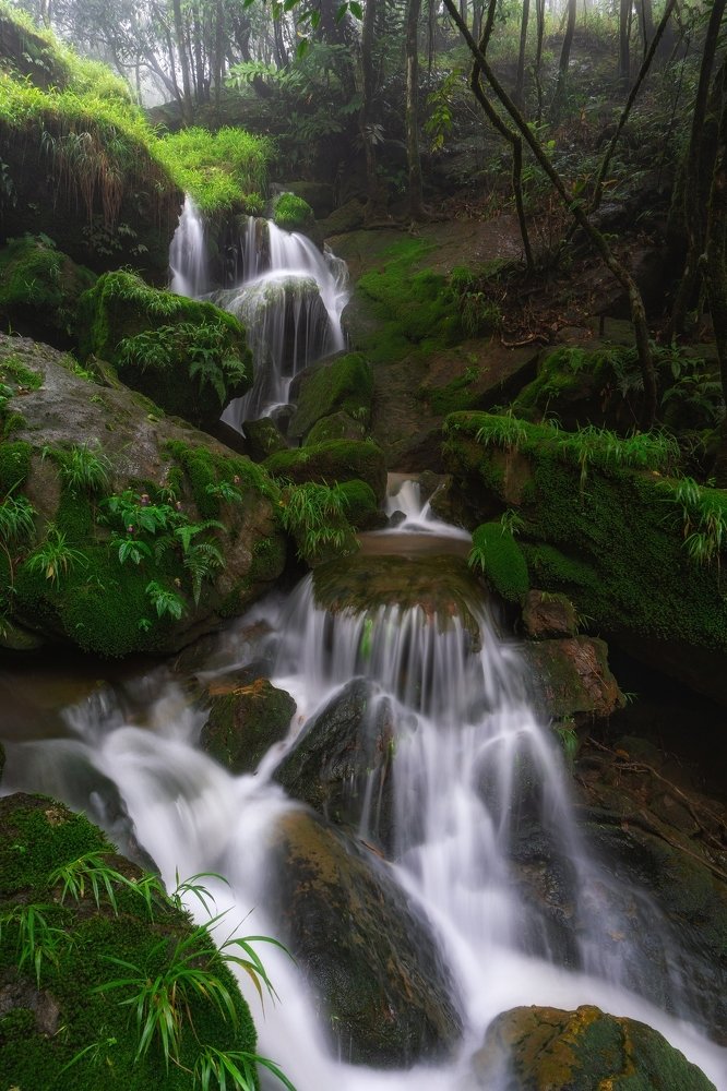 Photograph by Sten Bankitkupar