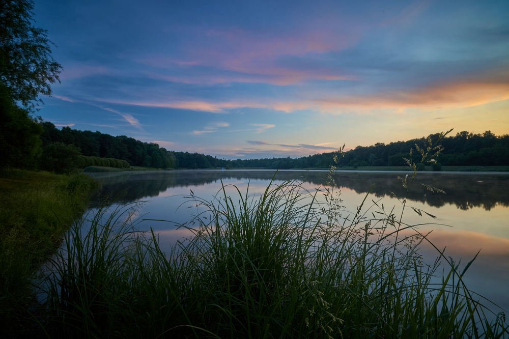 Лебедянский пруд