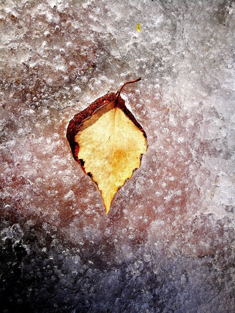 Photograph by Евгений Кравченко