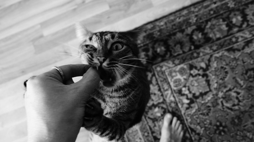 Приём у дантиста