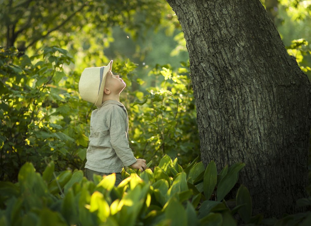 Photograph by Анна Неганова