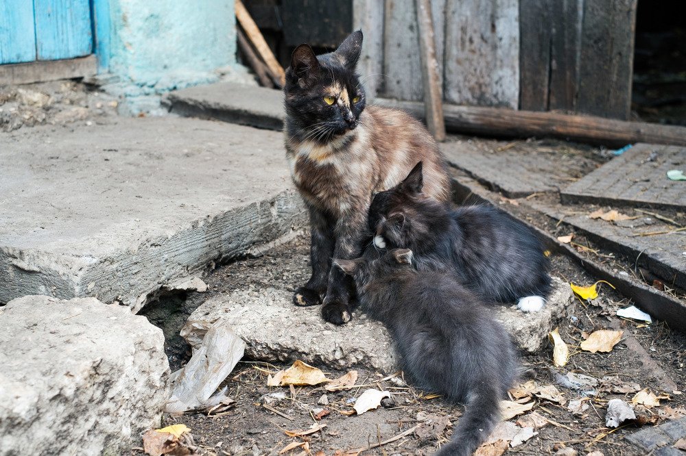 Photograph by Мария Безлепкина