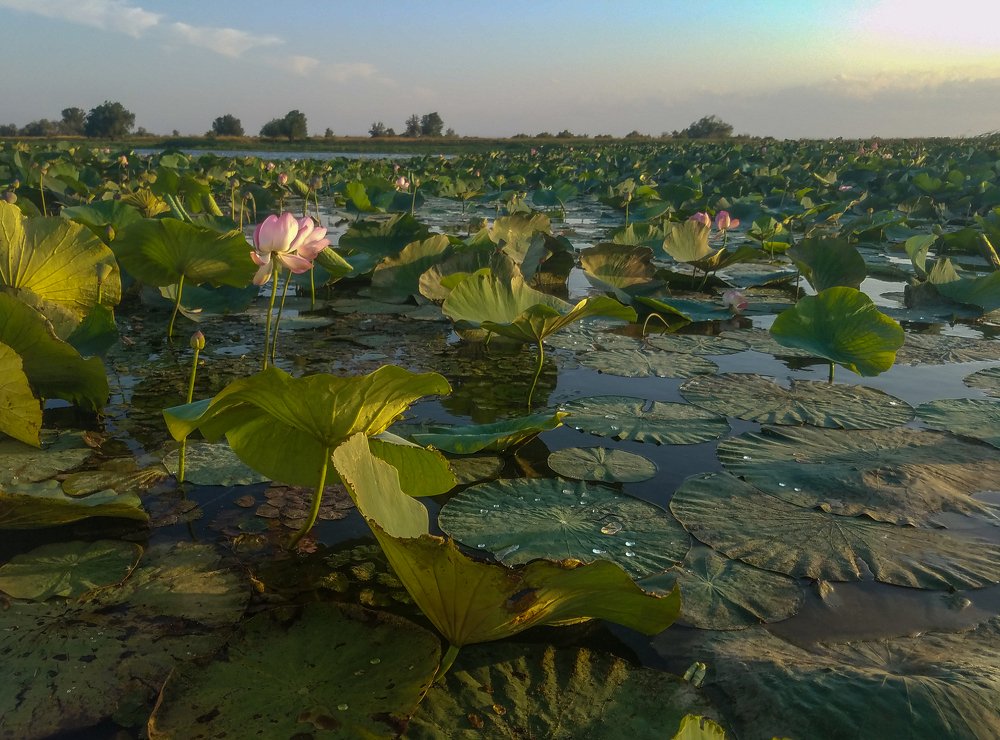 Photograph by Владимир Брагилевский