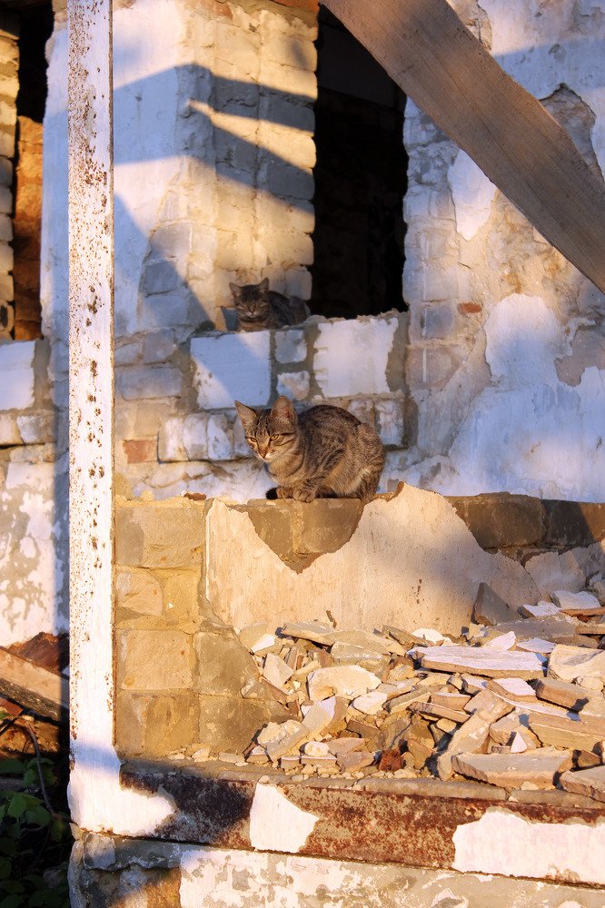 Photograph by Мария Безлепкина