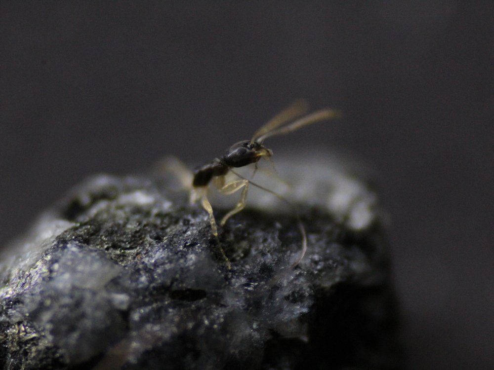 Photograph by Wislei rabello