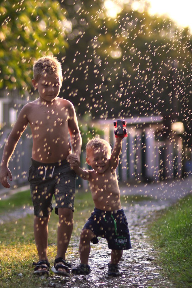 Photograph by Диана Думиника