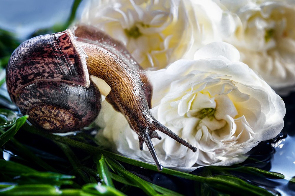 Photograph by Галина Иванова