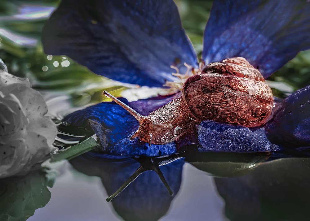 Photograph by Галина Иванова