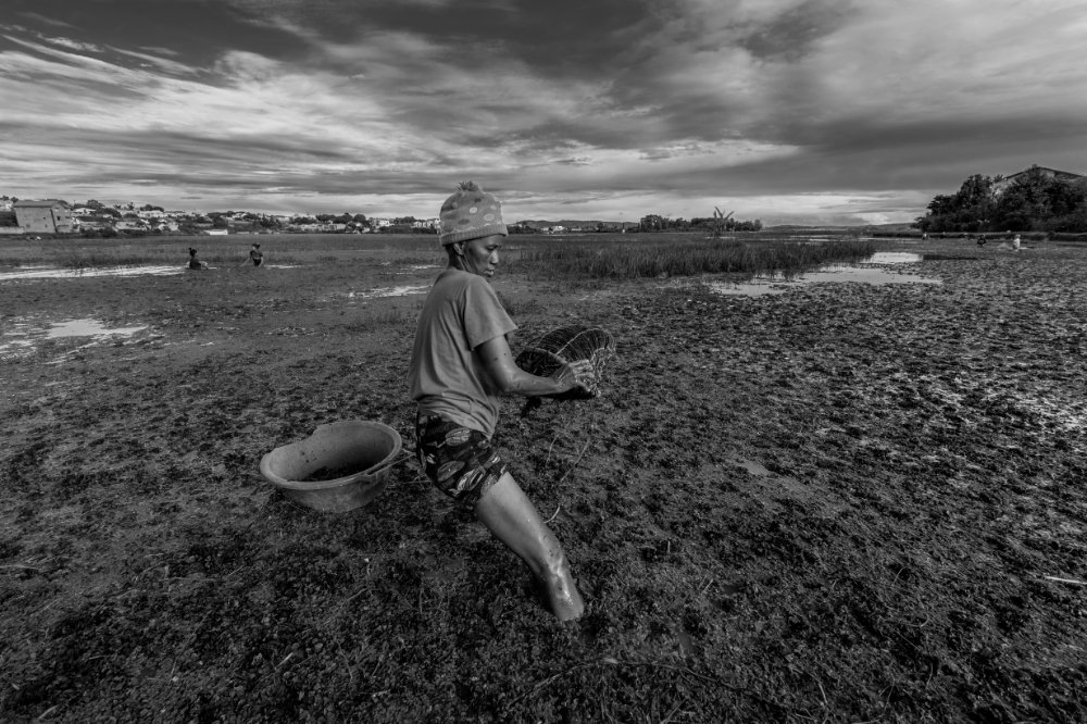 Photograph by Alexander Joe