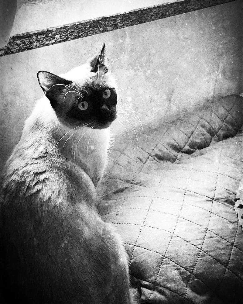 Photograph by Mariacristina Bisi