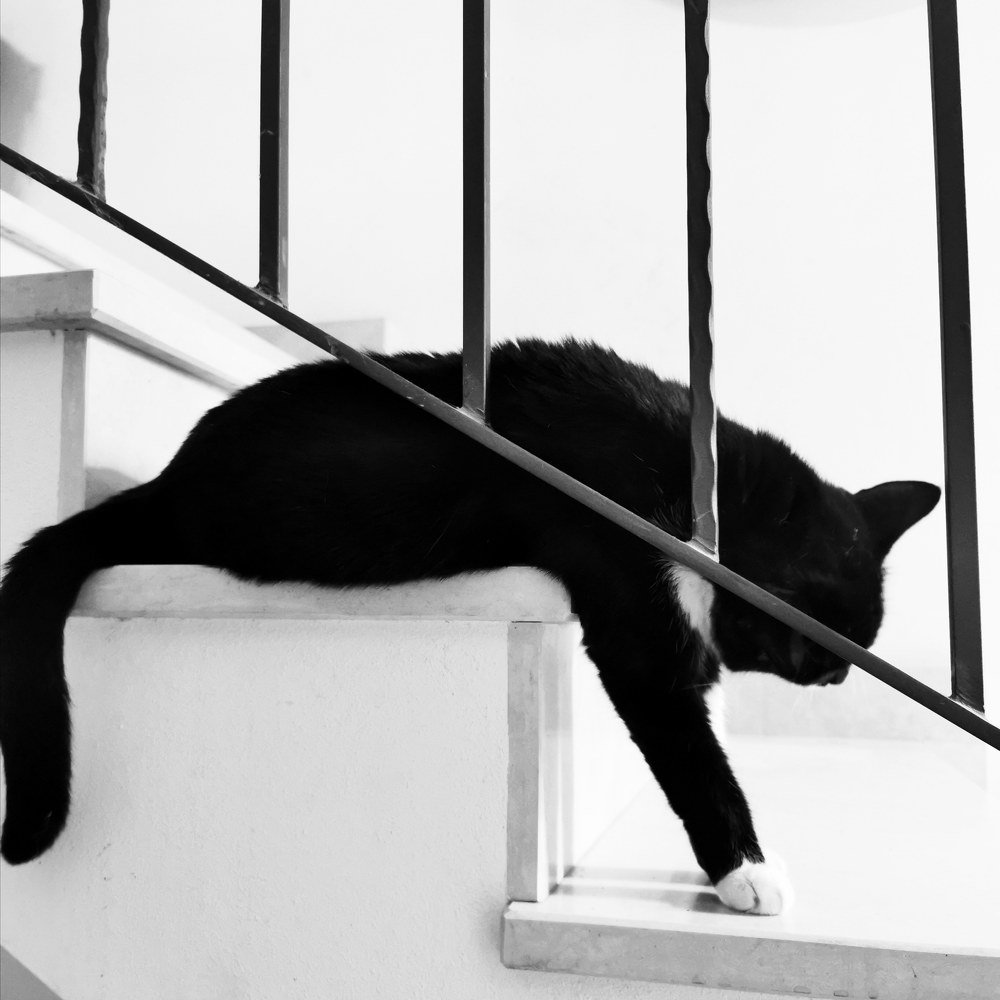 Photograph by Mariacristina Bisi