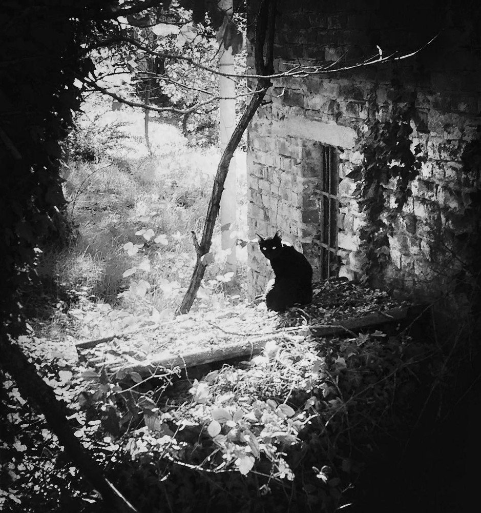 Photograph by Mariacristina Bisi