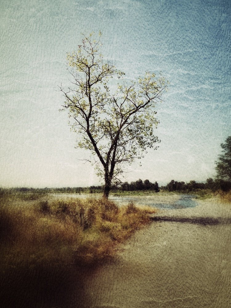 Photograph by Mariacristina Bisi