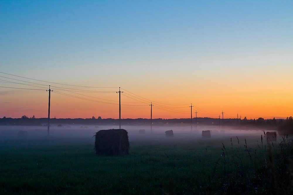 поле в тумане