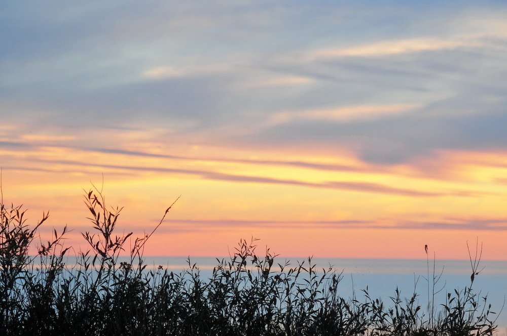 Онежская палитра