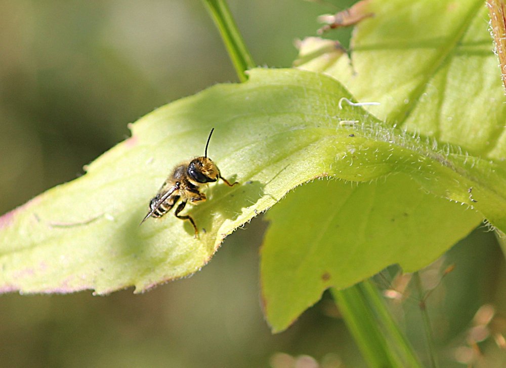 Фотография автора Владислава Андрюнина