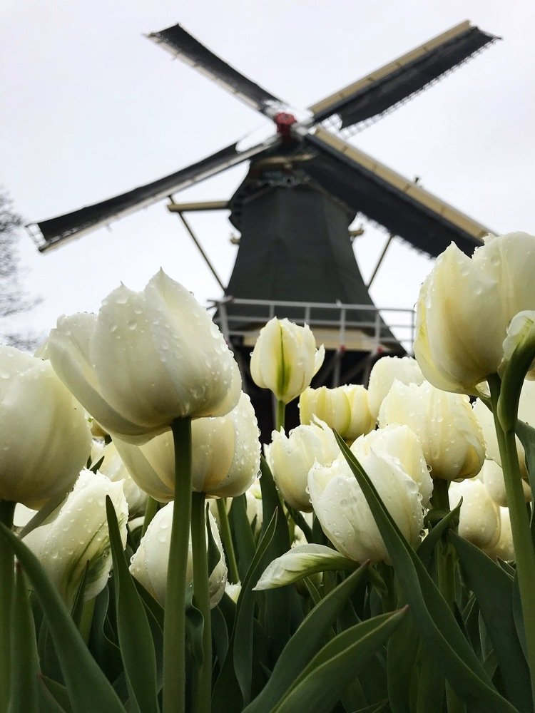 Photograph by Яна Лугинина