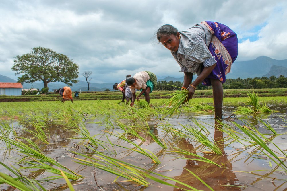 Photograph by Rangaraj Raj