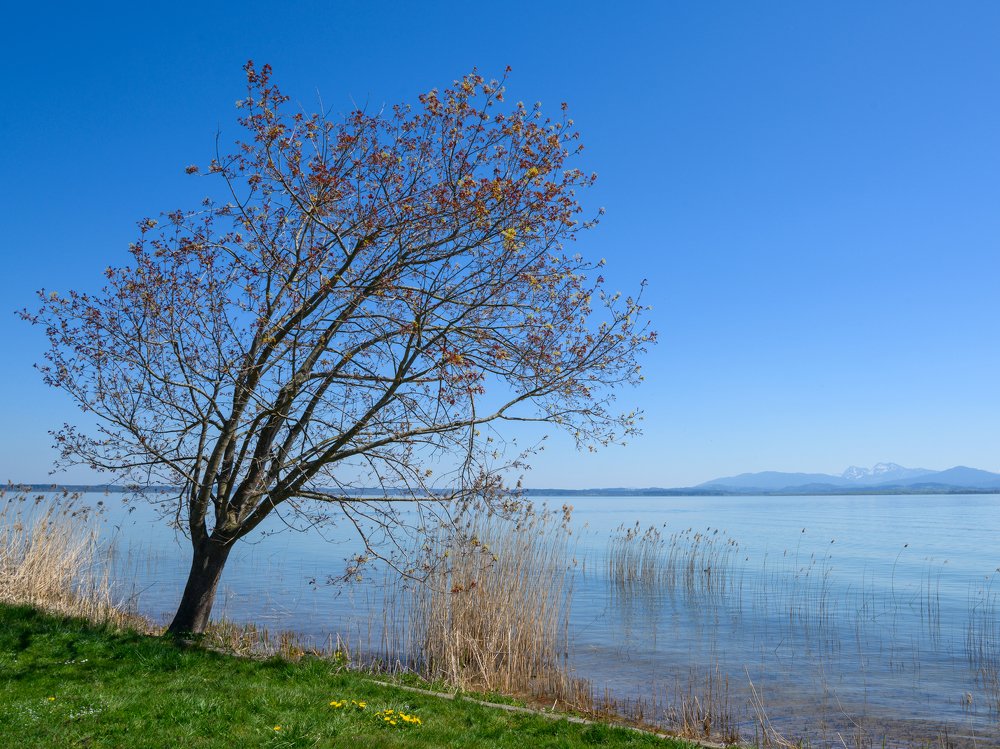 Photograph by Seematter Beat