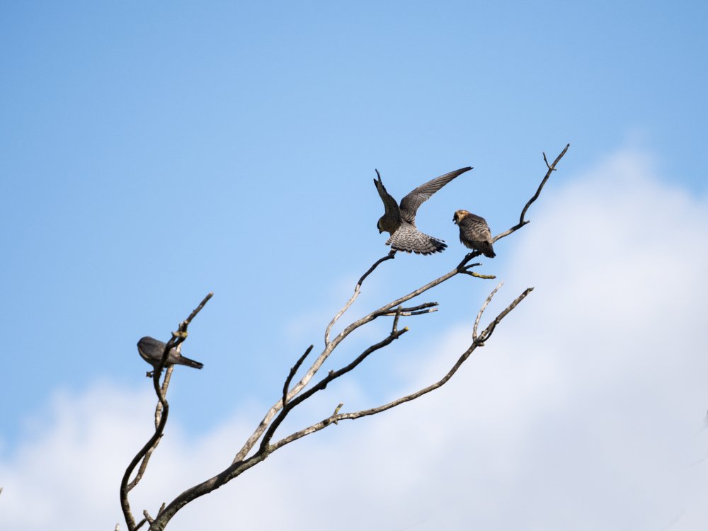 Photograph by Seematter Beat