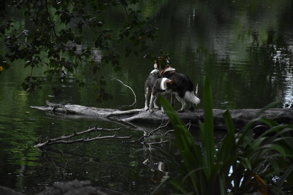 Photograph by Clofil Jane Odapin