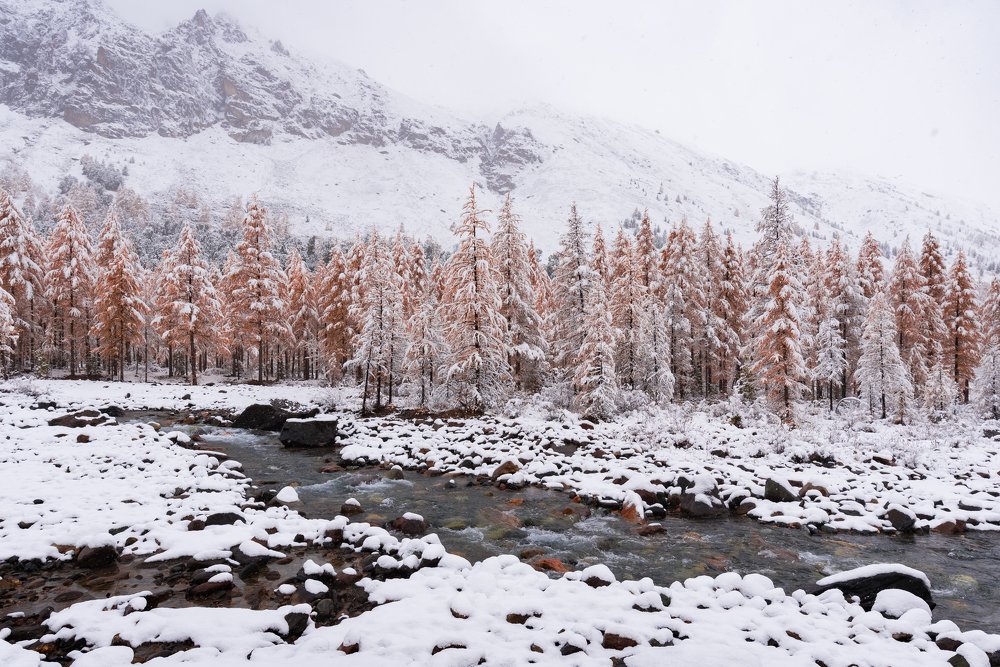 Фотография автора Татьяна Степанова