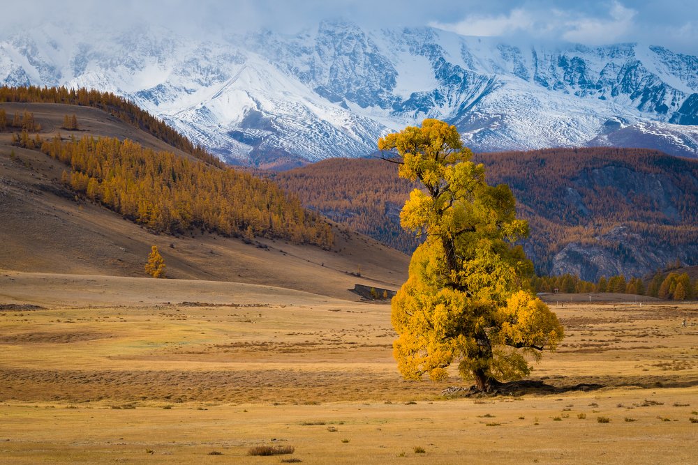 Photograph by Татьяна Степанова